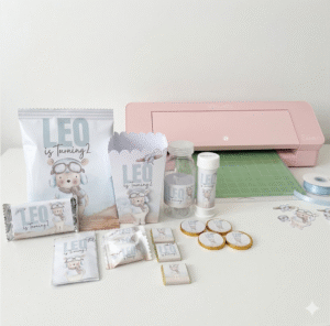 קורס דיגיטלי – הדרכת מיתוג למתחילות – איך לעבוד עם מכונת חיתוך של Silhouette